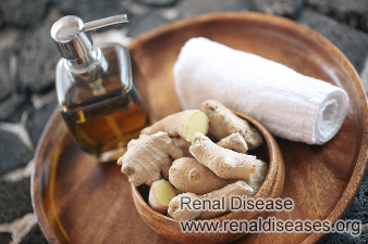 Does Ginger Therapy Benefit for Kidney Failure Patients
