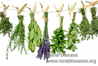 Is There Any Natural Herbs That Could Ease the Development of PKD