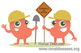 Can I Stop IgA Nephropathy by Diet Therapy