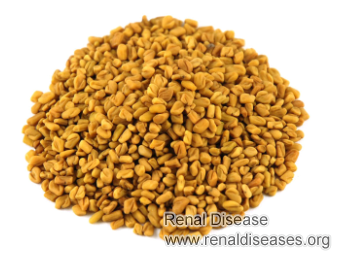 Can Kidney Disease Patients Eat Fenugreek seeds with High Creatinine Level