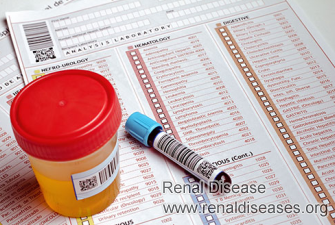 What Are Normal Values of Males Adult in Renal Function Test