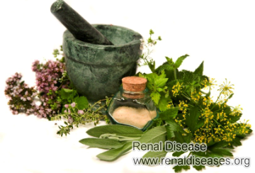 Recommend Herbs to Shrink a Complex Kidney Cyst