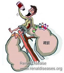 Are There Any Natural Herbs to Relieve Enlarged Kidney