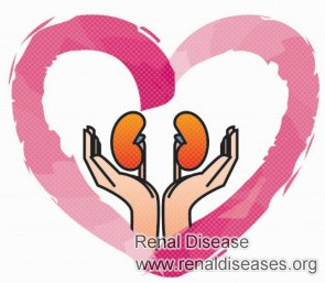Protect Kidney Health in Daily Diet and Life 