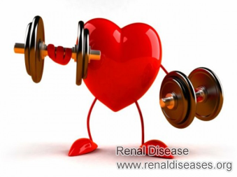 Is Harmful to Workout with an Enlarged Kidney