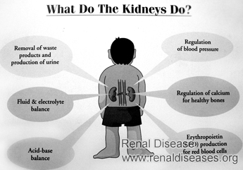 What Happens to Person Who Has 14% Kidney Function