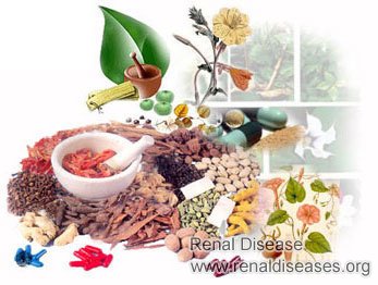 What Herbal Medicines Should I Take for High Creatinine and High Potassium