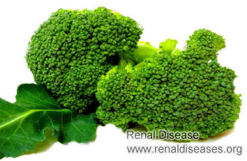 Is Broccoli Good for Patients with Diabetic Nephropathy