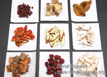 How Does Chinese Medicine Work for Kidney Failure