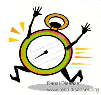 How Long Will A Transplant Kidney Work Perfectly