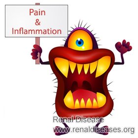 How to Deal with Inflammation for IgA Nephropathy Patients