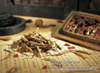 How Does Chinese Medicine Treatment Shrink Kidney Cysts