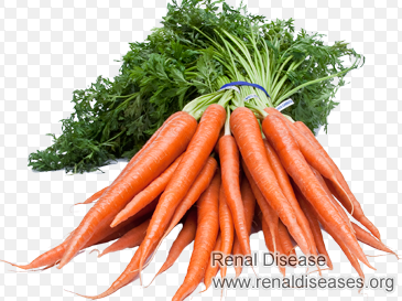 Is Carrot Good for the Kidney Patient Whose Creatinine Is 9.10