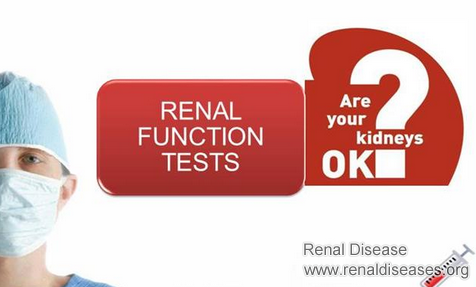 12% Kidney Function with One Kidney: Can I Still Live a Normal Life