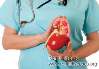 CKD Hypertension Patients Life Expectancy