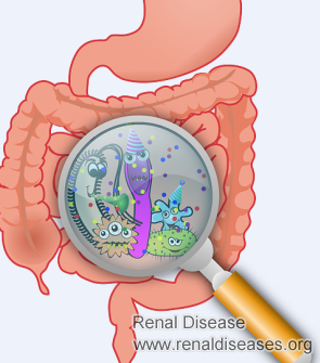 Do Dialysis Patients Have Bowel Problems