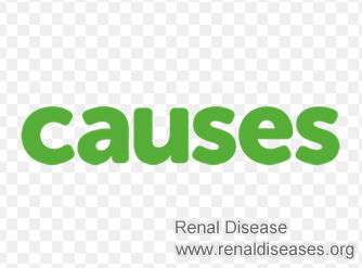 What Would Be the Reasons of Chronic Kidney Disease