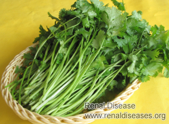 Can Coriander Leaves Help Polycystic Kidney Disease