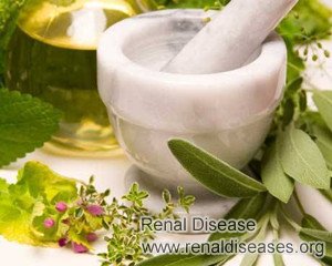 Is Ayurvedic Treatment Good for Children Nephrotic Syndrome