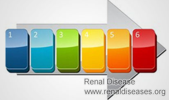 Treatment Steps for IgA Nephropathy Patients