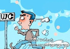Why Do Kidney Cysts Cause Frequent Urination
