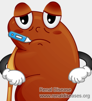 What Will Be the Remedies for Scrum Creatinine 7.0
