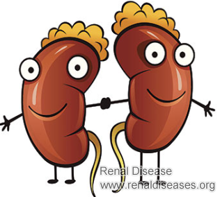 ADPKD Patients with Creatinine 4.5: What Can We Do