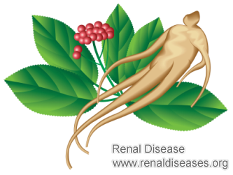 Can Ginseng Extract Hurt Your Kidneys If You Have Renal Failure