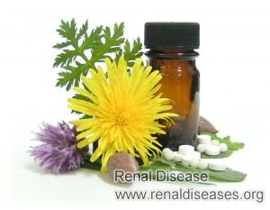 Alternative Medicines for Glomerulonephritis