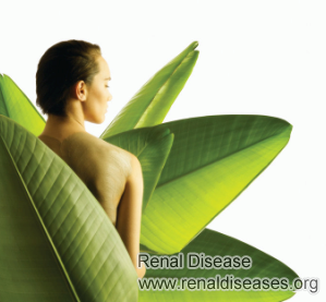 Natural Medicines and Herbs for Diabetic Nephropathy
