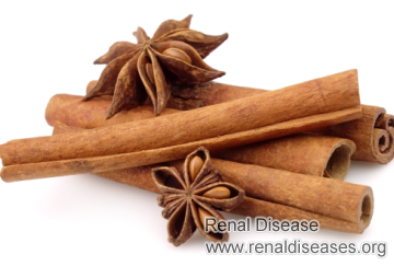 Is Cinnamon Helpful for Patients Having High Creatinine Level