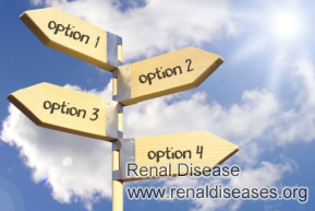 CKD (Chronic Kidney Disease) Treatment Options