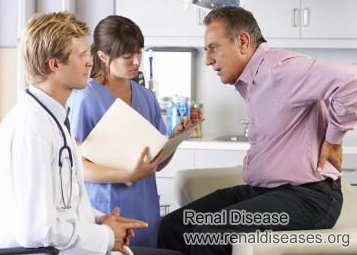 Can A Damaged Kidney Be Restored Back to Normal