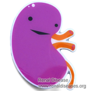 Lupus with Creatinine 121: Does It Mean I Have Kidney Failure