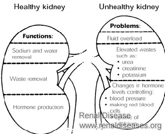 What Are Consequences of Kidney Failure