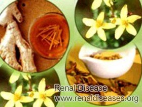 How to Prevent Kidney Disease by Herbal Medicines