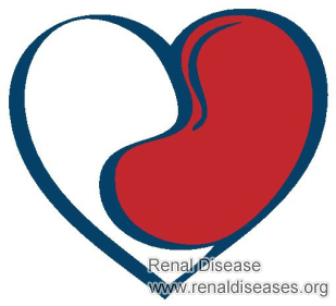 How to Slow Down the Progression for IgA Nephroapthy Patients with 48% Kidney Function