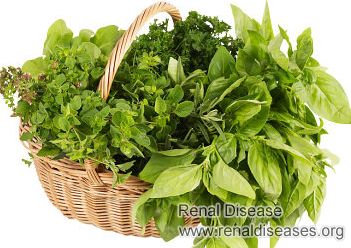 What Herbs Can Be Used for PKD Patients