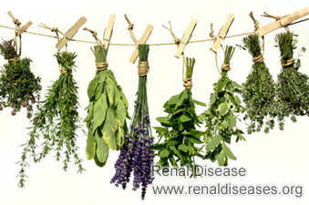 What Herbs Are Suggested to Reduce Pain from Cyst on Kidney