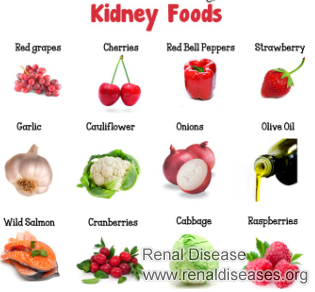 What Food Can Control the Kidney Failure