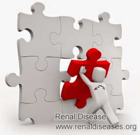 What Are the Precaution to Be Taken with Renal Parenchymal Disease