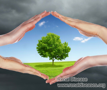What Is the Effect of Air Pollution on Kidney Disease Patient