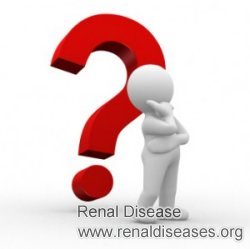 What Levels of Creatinine Would Indicate Kidney Disease