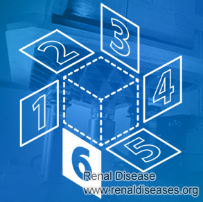 How Does Immunotherapy Treat IgA Nephropathy