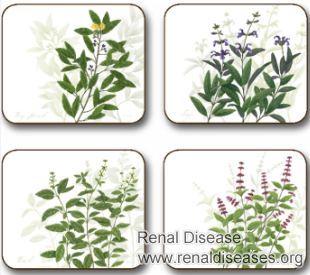 List of Herbs in Osmotherapy for Kidney Disease Patient