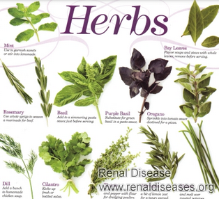 Chinese Treatments for IgA Nephropathy with Stage 3 Renal Failure