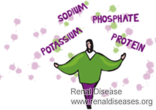 Lupus Nephritis Patients on Renal Diet