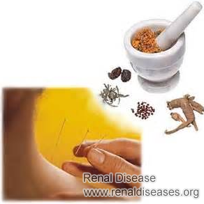 Chronic Renal Parenchymal Disease Treatment