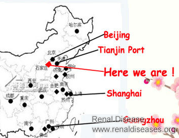 How Do I Get the Chinese Herbs to Improve Kidney Function