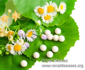 Natural Treatments for Creatinne 5.8 and Urea 62